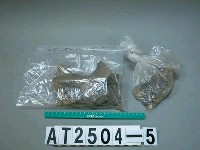 藏品(陶壺)的圖片